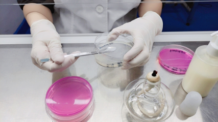 化妝品防腐效能試驗方法